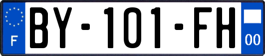 BY-101-FH