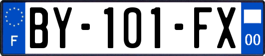 BY-101-FX