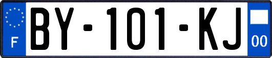 BY-101-KJ