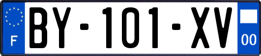 BY-101-XV