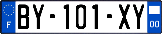 BY-101-XY