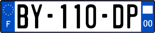 BY-110-DP