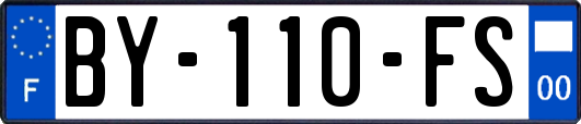 BY-110-FS