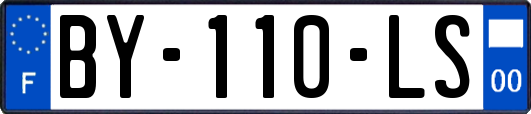 BY-110-LS