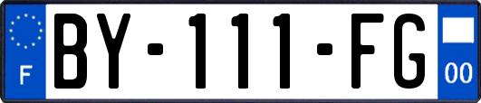 BY-111-FG