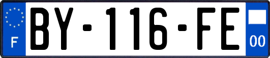 BY-116-FE