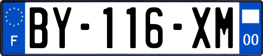 BY-116-XM