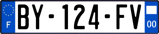 BY-124-FV