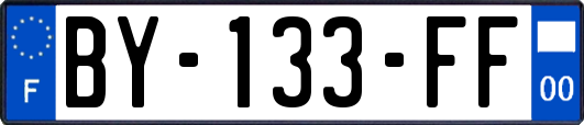 BY-133-FF