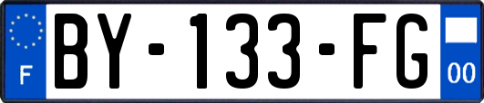 BY-133-FG