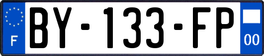 BY-133-FP