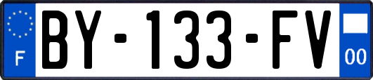 BY-133-FV