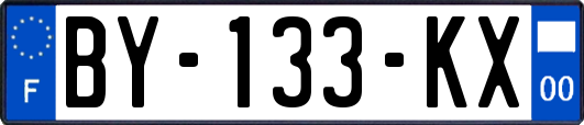 BY-133-KX