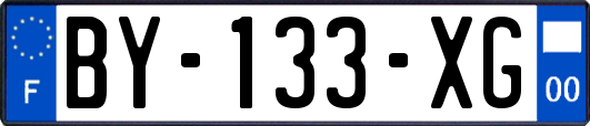 BY-133-XG