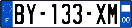 BY-133-XM