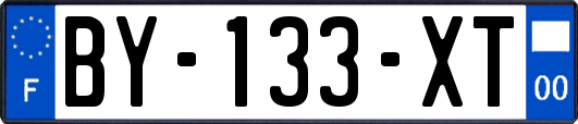 BY-133-XT