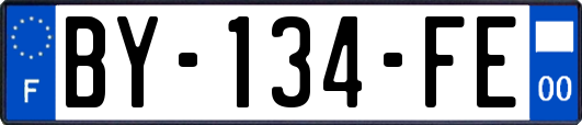 BY-134-FE