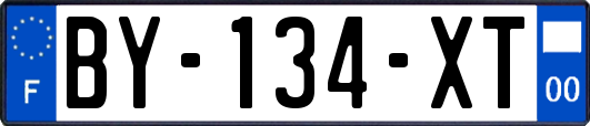 BY-134-XT