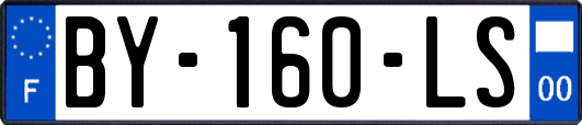 BY-160-LS