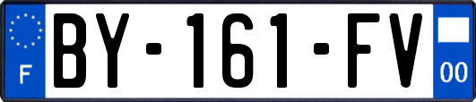 BY-161-FV