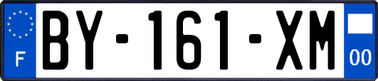 BY-161-XM
