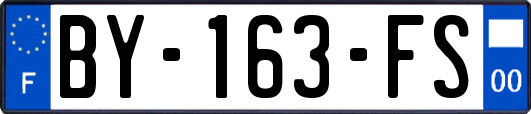 BY-163-FS