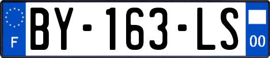 BY-163-LS