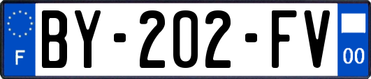 BY-202-FV