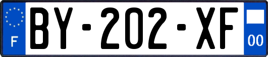 BY-202-XF