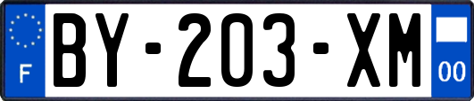 BY-203-XM