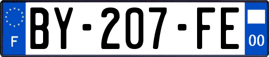BY-207-FE