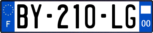 BY-210-LG