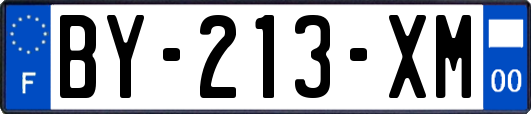 BY-213-XM