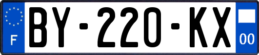 BY-220-KX