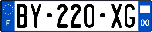 BY-220-XG