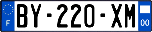 BY-220-XM