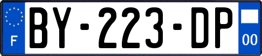 BY-223-DP