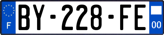 BY-228-FE
