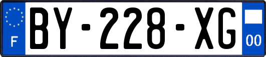 BY-228-XG