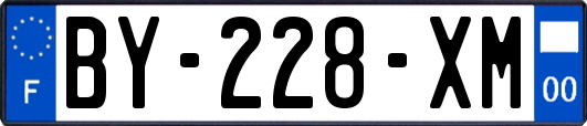 BY-228-XM