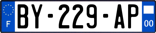 BY-229-AP