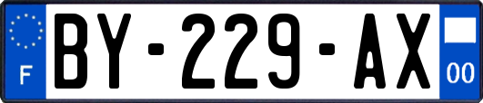 BY-229-AX