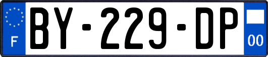 BY-229-DP