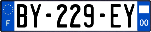 BY-229-EY