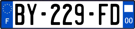 BY-229-FD
