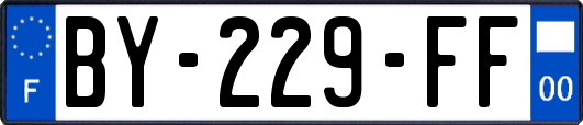 BY-229-FF