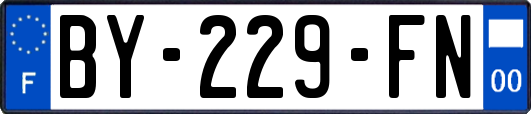 BY-229-FN
