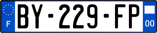 BY-229-FP