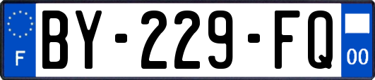 BY-229-FQ