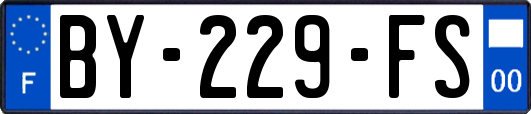 BY-229-FS